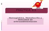 Hemoglobina, Hematocrito y Velocidad de eritrosedimentación.