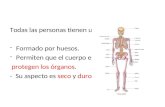 Todas las personas tienen un esqueleto -Formado por huesos. -Permiten que el cuerpo este erguido y protegen los órganos. - Su aspecto es seco y duro.
