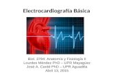 Electrocardiografía Básica Biol. 3794: Anatomía y Fisiología II Lourdes Méndez PhD – UPR Mayagüez José A. Cardé PhD – UPR Aguadilla Abril 13, 2015.