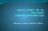 Adriana Lorena Ramírez Mares.. Infecciones en el paciente inmunocoprometido Sistema de defensa: Piel-mucosas Inmunidad celular y humoral. Granulocitos.