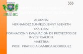 ALUMNA: HERNANDEZ SUNFELD JENNY ASENETH MATERIA: FORMACION Y EVALUACION DE PROYECTOS DE INVESTIGACION. MAESTRA: PROF. PRATRICIA GAMBOA RODRIGUEZ.