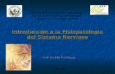 Introducción  a la Fisiopatología  del  Sistema Nervioso