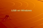 USB en Windows