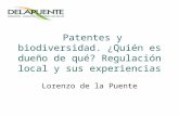 Patentes y biodiversidad. ¿Quién es dueño de qué? Regulación local y sus experiencias
