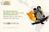 El Gasoducto  Andino del Sur y la Petroquímica: Masificación del gas y desarrollo del sur