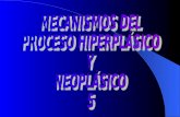 MECANISMOS DEL PROCESO HIPERPLÁSICO Y  NEOPLÁSICO 5