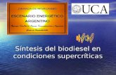 Síntesis del biodiesel en condiciones supercríticas