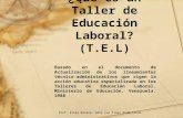 ¿ Qué es  un Taller de  Educación Laboral ? (T.E.L)