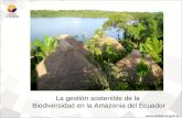 La gestión sostenible de la  Biodiversidad en la Amazonia del Ecuador