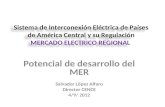Potencial  de desarrollo  del MER Salvador López Alfaro Director CENCE 4/9/  2012