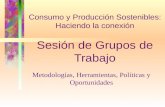 Consumo y Producción Sostenibles: Haciendo la cone x ión Sesión de Grupos de Trabajo