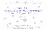 Tema 19.-  Durabilidad del Hormigón  en Climas Fríos