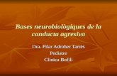 Bases neurobiològiques de la conducta agresiva