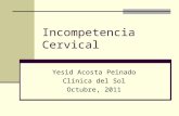 Incompetencia Cervical