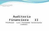Auditoría   Financiera   II Profesor  Luis Fernando Valenzuela Jiménez