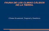 FAUNA DE LOS CLIMAS CÁLIDOS DE LA TIERRA.