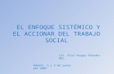 EL ENFOQUE SISTÉMICO Y EL ACCIONAR DEL TRABAJO SOCIAL
