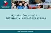 Ajuste Curricular: Enfoque y características