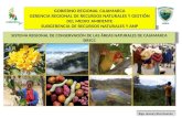 SISTEMA REGIONAL DE CONSERVACIÓN DE LAS ÁREAS NATURALES DE CAJAMARCA SIRECC