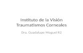 Instituto de la Visión Traumatismos  Corneales