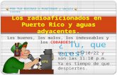 Los  radioaficionados  en  Puerto Rico y  aguas adyacentes .