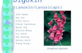 Digoxin  (Lanoxin/Lanoxicaps)