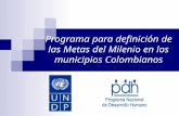 Programa para definición de las Metas del Milenio en los municipios Colombianos