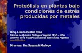 Proteólisis en plantas bajo condiciones de estrés producidas por metales
