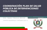 COORDINACIÓN PLAN DE SALUD PÚBLICA DE INTERVENCIONES COLECTIVAS