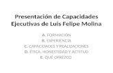 Presentación de Capacidades Ejecutivas de Luis Felipe Molina