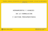 HERRAMIENTAS Y AVANCES  EN LA FORMULACION Y GESTION PRESUPUESTARIA