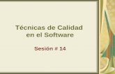 Técnicas de Calidad  en el Software Sesión # 14