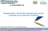 Diagnóstico Carta Iberoamericana de la Calidad en la Gestión Pública