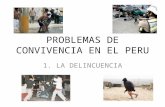 PROBLEMAS DE CONVIVENCIA EN EL PERU