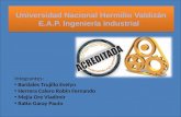 Universidad Nacional Hermilio Valdizán E.A.P. Ingeniería industrial