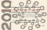Comisión de SEGURIDAD PÚBLICA INFORME DEL GRUPO DE TRABAJO