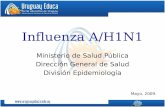 Influenza A/H1N1