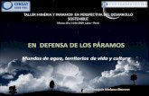 TALLER MINERIA Y PARAMOS  EN PERSPECTIVA DEL DESARROLLO SOSTENIBLE