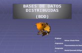 BASES  DE DATOS DISTRIBUIDAS (BDD)