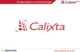 ¿Qué es Calixta?