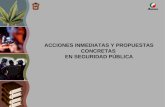 ACCIONES INMEDIATAS Y PROPUESTAS CONCRETAS  EN SEGURIDAD PÚBLICA