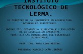 INSTITUTO TECNOLÓGICO DE LERMA.