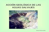 ACCIÓN GEOLÓGICA DE LAS AGUAS SALVAJES