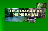 TECNOLOGÍA DE MEMBRANAS