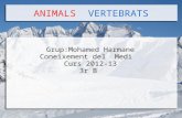 ANIMALS VERTEBRATS