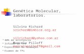 Genética Molecular, laboratorios . Silvina  Richard     srichard@imbice.ar