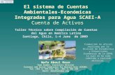 El sistema de Cuentas  Ambientales-Económicas Integradas para Agua SCAEI-A Cuenta de Activos