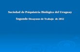 Sociedad de Psiquiatría Biológica del Uruguay Segundo  Desayuno de Trabajo  de 2012
