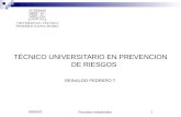 TÉCNICO UNIVERSITARIO EN PREVENCION DE RIESGOS REINALDO PEDRERO T.
