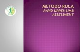 Metodo  rula Rapid  Upper limb assessment